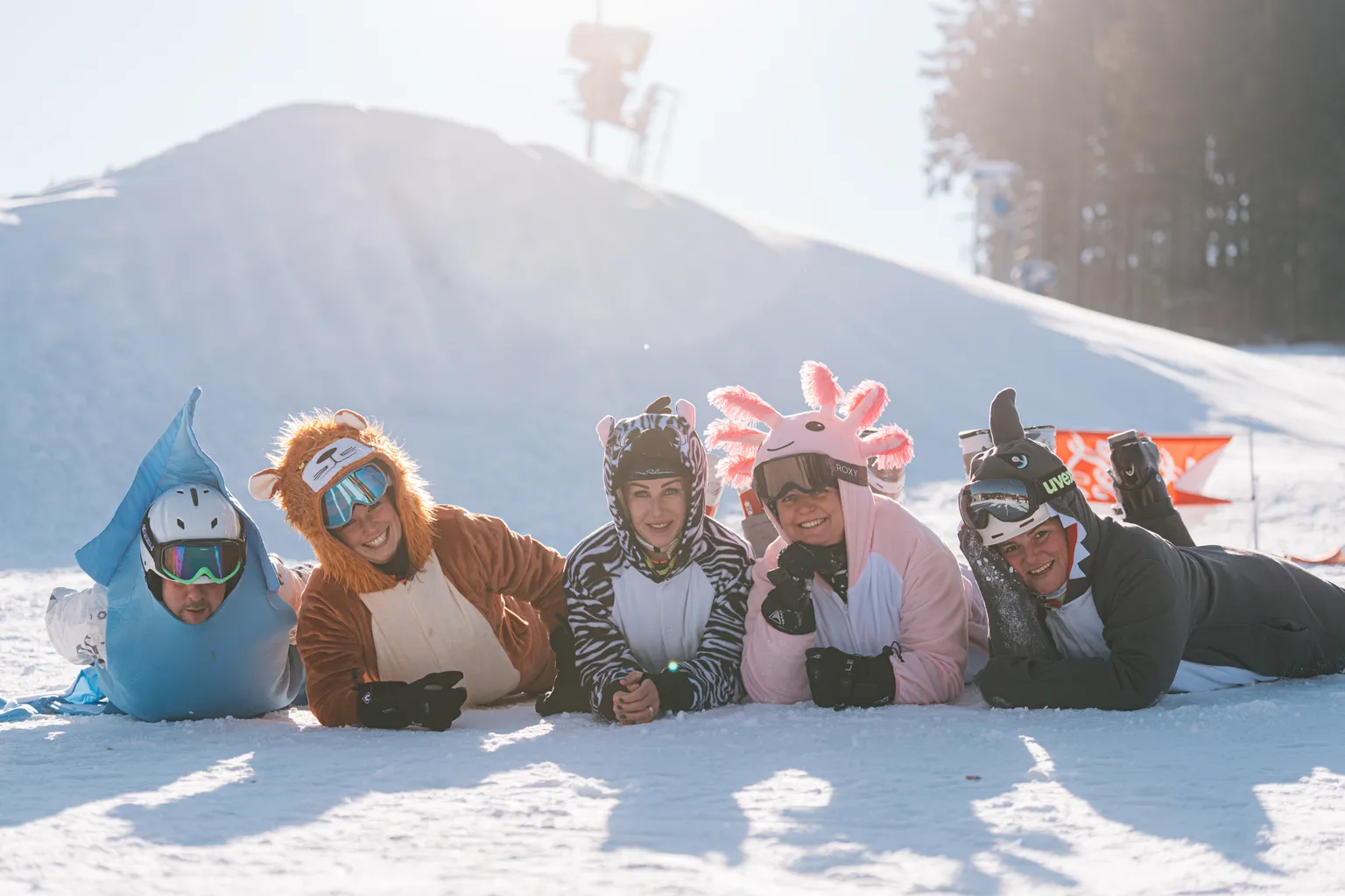 Ski_areal_Karlov_-22